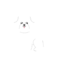 Misoko Sticker by Nature's Protection