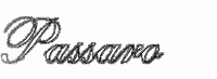 passarosa passarosposa GIF