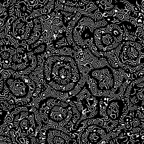 Loop GIF by tracheotommy