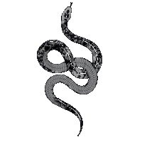 Death Stickers Sticker by KILLERVIEWS