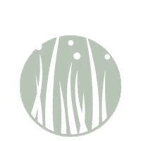 allergiecheck pollen allergy allergie allergiecheck Sticker