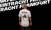 Bundesliga Analyse GIF by Eintracht Frankfurt
