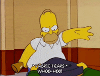 homer simpson GIF