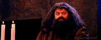 Happy Harry Potter GIF