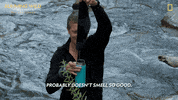 Smells Bad Nat Geo GIF by National Geographic Channel