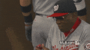 mlb baseball mlb snack baker GIF