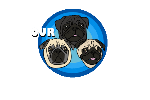 pugrescueaustin giphyupload pug pugface pugathon Sticker