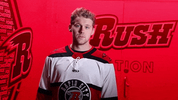 Lets Go Yes GIF by Rapid City Rush