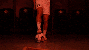 Soccer Futbol GIF by Pearl River Athletics