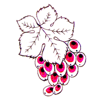 Grapes Berries Sticker