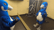 National Wildlife Refuge Workout GIF by U.S. Fish and Wildlife Service