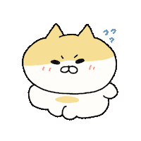 Funny Cat 고양이 Sticker