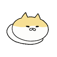 Study Funny Cat Sticker