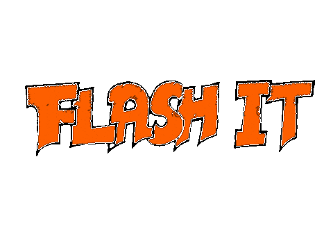 Flashit Sticker by General Salute
