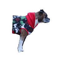 Fleece Winter Dog Sticker by Geekster Pets