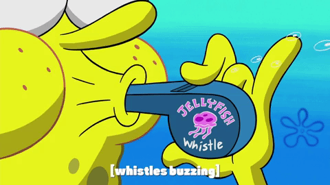 season 10 episode 6 GIF by SpongeBob SquarePants