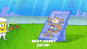 episode 1 GIF by SpongeBob SquarePants