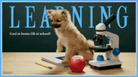 GIPHY PSA Learning