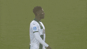 GIF by FOX Sports