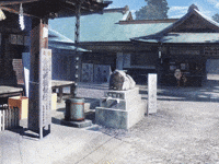 Run Running GIF
