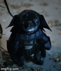 Video gif. Tiny adorable black pug wearing a Darth Vader costume smacks his lips.
