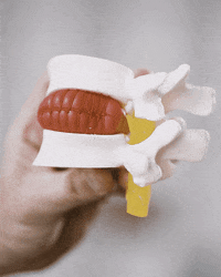 Disc GIF by YOGABODY