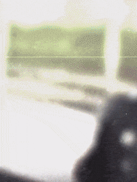Fashion Shooting GIF by Skhizein