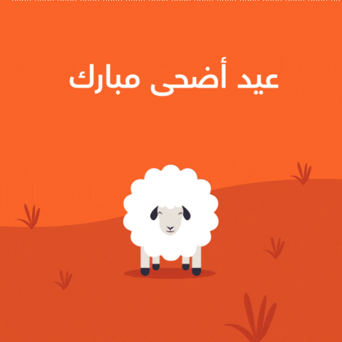 Baeadha GIF by Bank Al Etihad