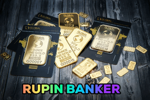 rupin-banker giphygifmaker rupin banker GIF