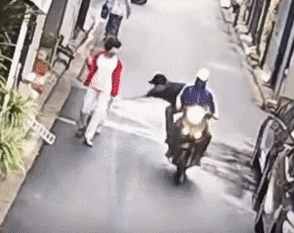 cuteanimalland giphyupload GIF