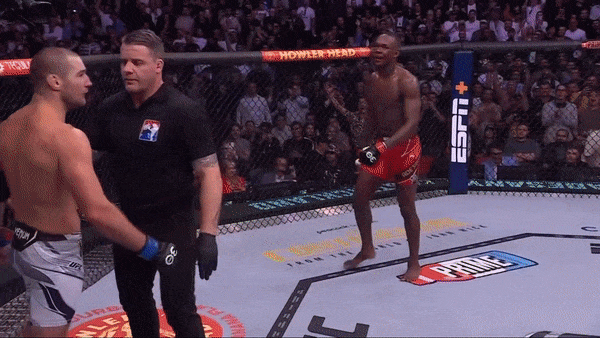 TribalChiefzz giphyupload ufc israel adesanya ufc 293 GIF