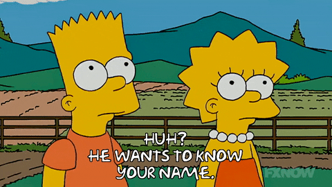 Lisa Simpson GIF by The Simpsons