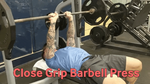 michelegrogers giphygifmaker nfpt michele g rogers close grip bench press GIF