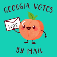 Voting Election Day GIF by INTO ACTION