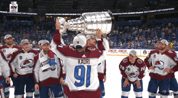 Ice Hockey Sport GIF by NHL