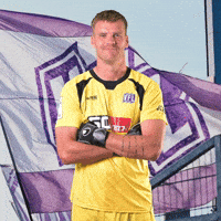 Tor Goalkeeper GIF by VfLOsnabrueck