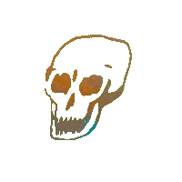 laughing out loud lol Sticker by Vacation Forever