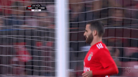 frustrated sl benfica GIF by Sport Lisboa e Benfica