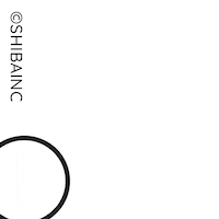 Happy In Love Sticker by SHIBAINC