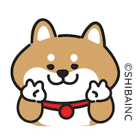 Happy 柴犬 Sticker by SHIBAINC