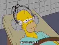 homer simpson GIF