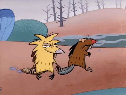 nickrewind giphydvr nicksplat angry beavers giphyab002 GIF
