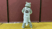 Turning Around Wolf Pack GIF by Cardinal Stritch University