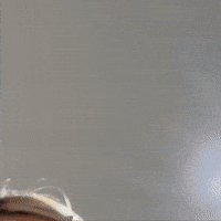 Flirty Wow GIF