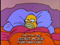homer simpson episode 3 GIF