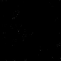 Text gif. Pastel blue, pink, and white text on a speckled black background creates a wavy trans flag as it appears one word at a time. Text, "Trans people have always existed."