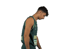 Pao Pana Sticker by Panathinaikos BC