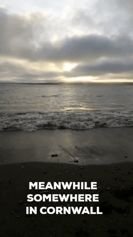 Stargazy giphygifmaker ocean sea sky GIF