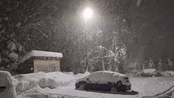Heavy Snow Coats Anchorage Amid Nearby Blizzard Warnings