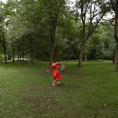 NewLeafMusic dance toronto fancy traditional GIF
